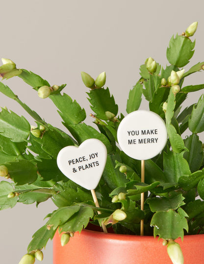 Ceramic Gift Message Pops