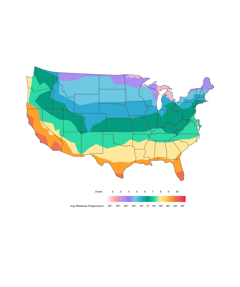 Understanding USDA Plant Hardiness Zones: A Gardener's Guide